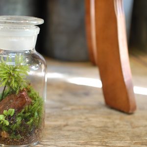 緑区長津田のお花屋さん フローリスト チャイヴ